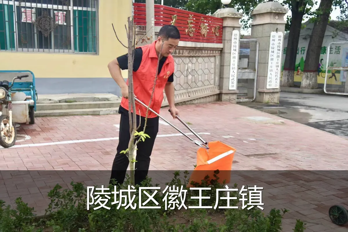 陵城区徽王庄镇