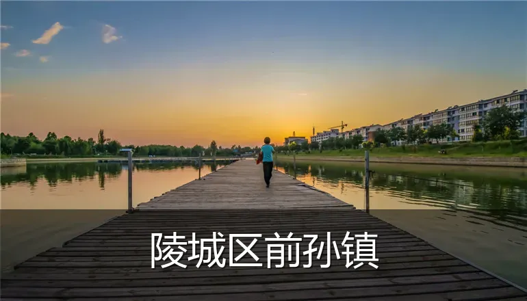 陵城区前孙镇