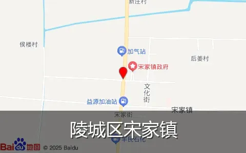 陵城区宋家镇